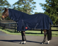 Load image into Gallery viewer, Kozy 1200D Rainsheet Horse Rug Combo - Navy