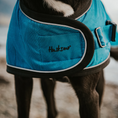 Load image into Gallery viewer, Huskimo Summit Pro Dog Coat - Bells Beach