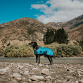 Load image into Gallery viewer, Huskimo Summit Pro Dog Coat - Bells Beach