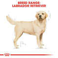 Load image into Gallery viewer, Royal Canin Labrador Adult