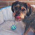 Load image into Gallery viewer, Twisted Rope Knot Ball Dog Toy