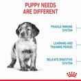 Load image into Gallery viewer, Royal Canin Medium Breed Puppy Food