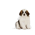 Load image into Gallery viewer, Royal Canin - Giant Puppy 15kg