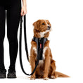 Load image into Gallery viewer, EzyDog Vario 6 Multi-Function Leash