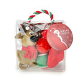 Load image into Gallery viewer, Canine Care - Dog Toy Christmas Set