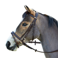 Load image into Gallery viewer, Wintec Bridle with Hanoverian Noseband (Flash)