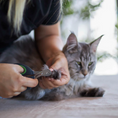 Load image into Gallery viewer, Kazoo - Puppy & Cat Nail Clipper