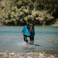 Load image into Gallery viewer, Huskimo Summit Pro Dog Coat - Bells Beach