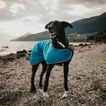 Load image into Gallery viewer, Huskimo Summit Pro Dog Coat - Bells Beach