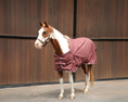 Load image into Gallery viewer, Kozy 1200D Rainsheet Horse Rug - Chocolate