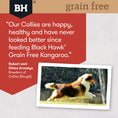 Load image into Gallery viewer, Black Hawk Kangaroo Grain Free Adult Dog Food