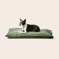 Load image into Gallery viewer, Snooza - Organic Pet Futon Fern