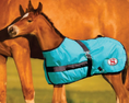 Load image into Gallery viewer, Thermo Master 600D 200G Fill Growing Foal Rug