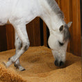 Load image into Gallery viewer, Elite Pelletized Pine Equine Bedding 15kg