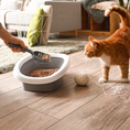 Load image into Gallery viewer, Elite Cat Litter 15kg
