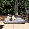 Load image into Gallery viewer, Superior - Hooch Dog Cushion Eco Tough