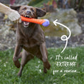 Load image into Gallery viewer, Extreme Play Dog Chew Stick - Large