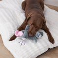 Load image into Gallery viewer, Furries - Long Ear Elephant