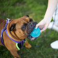 Load image into Gallery viewer, Tough Chewing Space Balls - Medium Dog Toy