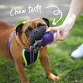 Load image into Gallery viewer, Tough Chewing Space Balls - Medium Dog Toy