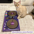 Load image into Gallery viewer, DJ Scratchez Cardboard Cat Scratcher