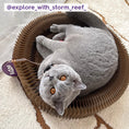 Load image into Gallery viewer, Kitty Accordion Cardboard Bed With Ball