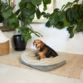 Load image into Gallery viewer, Kazoo - Honey Possum Dog Bed
