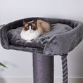 Load image into Gallery viewer, high-bed-cat-scratch-post - gallery_2