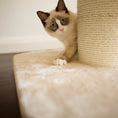Load image into Gallery viewer, high-bed-cat-scratch-post - gallery_10