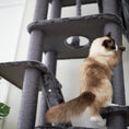 Load image into Gallery viewer, TGG-3000005 - gallery_2
