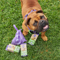 Load image into Gallery viewer, Eco-Friendly Compostable Biodegradable Poop Bags - 50pk