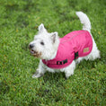 Load image into Gallery viewer, Adventure Dog Coat - Cherry