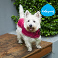Load image into Gallery viewer, Adventure Dog Coat - Cherry