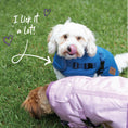 Load image into Gallery viewer, Adventure Dog Coat - River