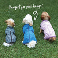 Load image into Gallery viewer, Adventure Dog Coat - River