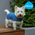 Load image into Gallery viewer, Adventure Dog Coat - River