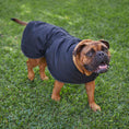 Load image into Gallery viewer, Adventure Dog Coat - Black