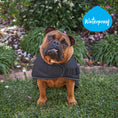 Load image into Gallery viewer, Adventure Dog Coat - Black