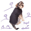 Load image into Gallery viewer, Adventure Dog Coat - Black