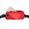 Load image into Gallery viewer, DOOG - Mini Belt Navy and Red