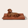 Load image into Gallery viewer, Snooza - Modern Dog Daybed