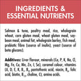 Load image into Gallery viewer, PURINA ONE Adult Salmon & Tuna Dry Cat Food