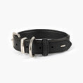 Load image into Gallery viewer, Oxford Leather Classic Collar