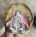 Load image into Gallery viewer, Beeswax PINK Balls - Hoof Putty for Thrush management