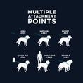 Load image into Gallery viewer, Huskimo Specialist Multi Lead