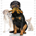 Load image into Gallery viewer, Tuffy MEGA SMALL OCTOPUS OSCAR Tiger