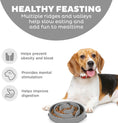 Load image into Gallery viewer, Outward Hound - Fun Feeder Slo Bowl - healthy feasting benefits