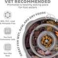 Load image into Gallery viewer, Outward Hound - Fun Feeder Slo Bowl - vet recommended features