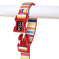 Load image into Gallery viewer, Doog - Clip-It Dog Leash - Scooby - close-up of striped leash and clip