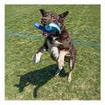 Load image into Gallery viewer, Kong - Whirlz Throw - Medium/Large - dog playing with the toy